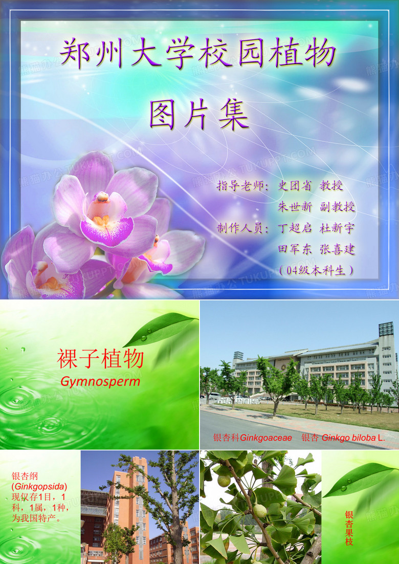 郑州大学校园植物图谱