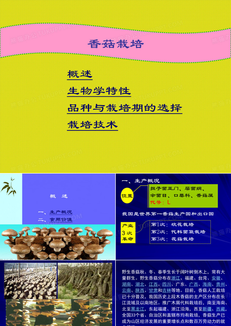 香菇栽培