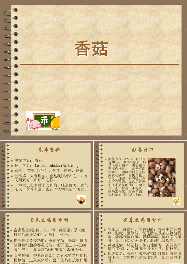 香菇简介