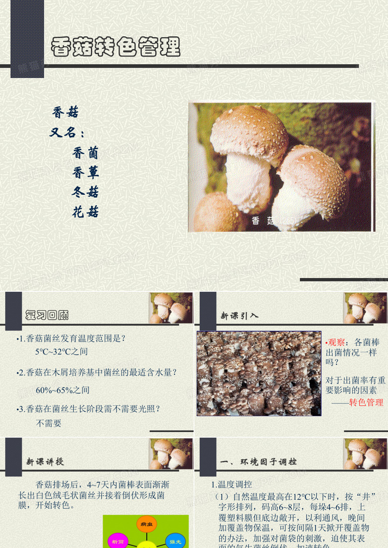 香菇转色管理