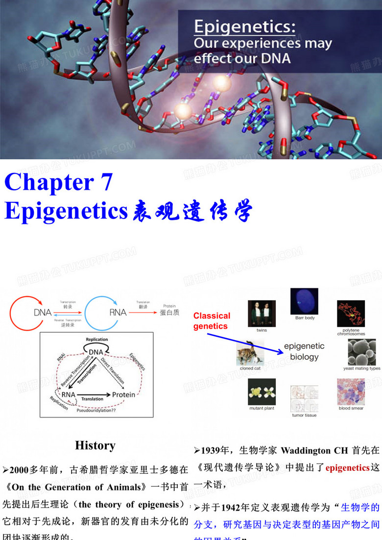 分子遗传学_表观遗传学