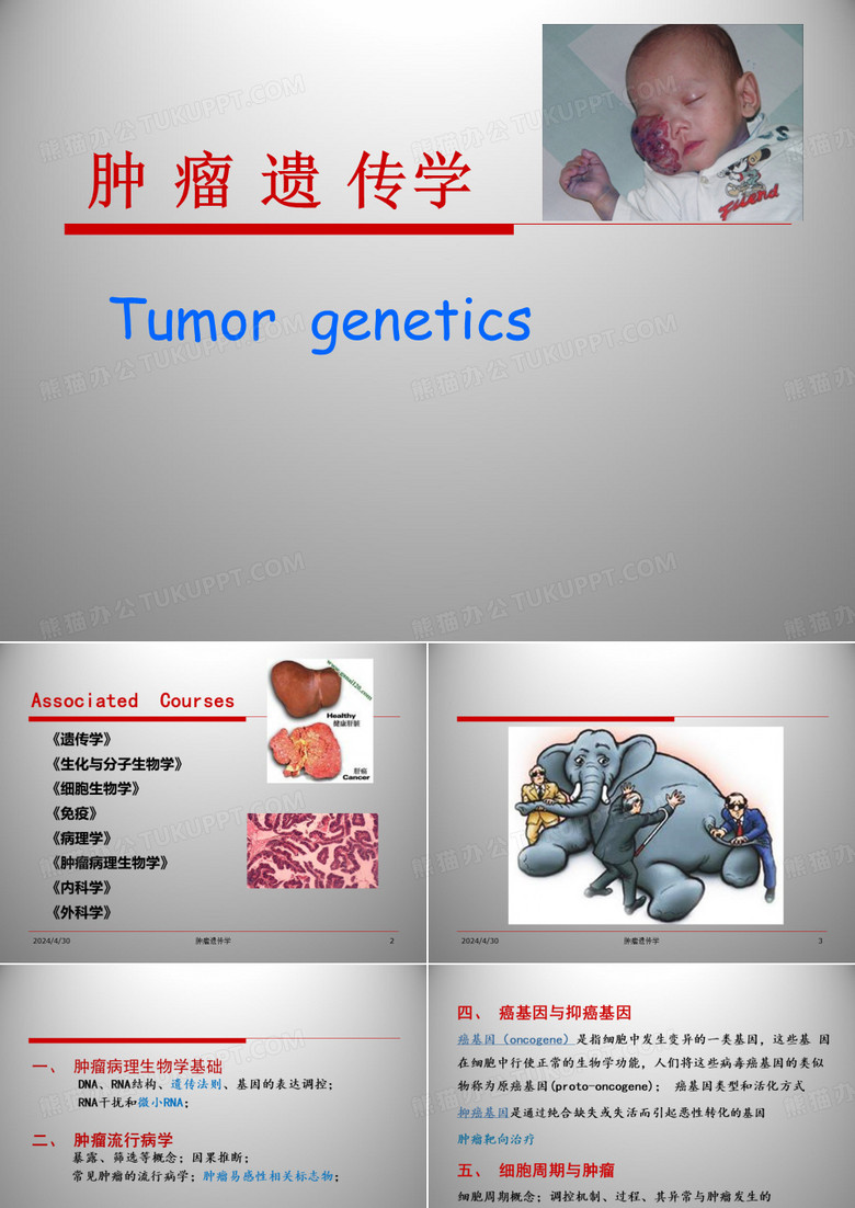 临床遗传学课件：肿瘤遗传学