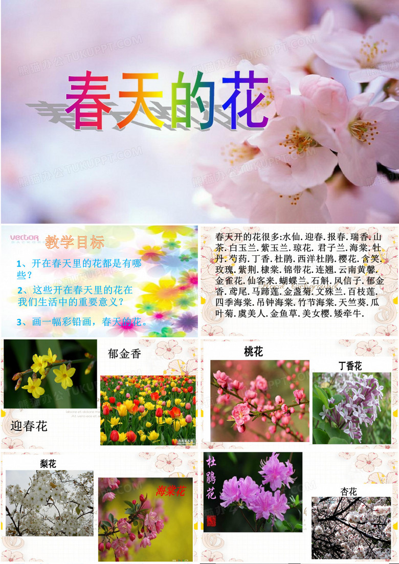 彩铅花卉