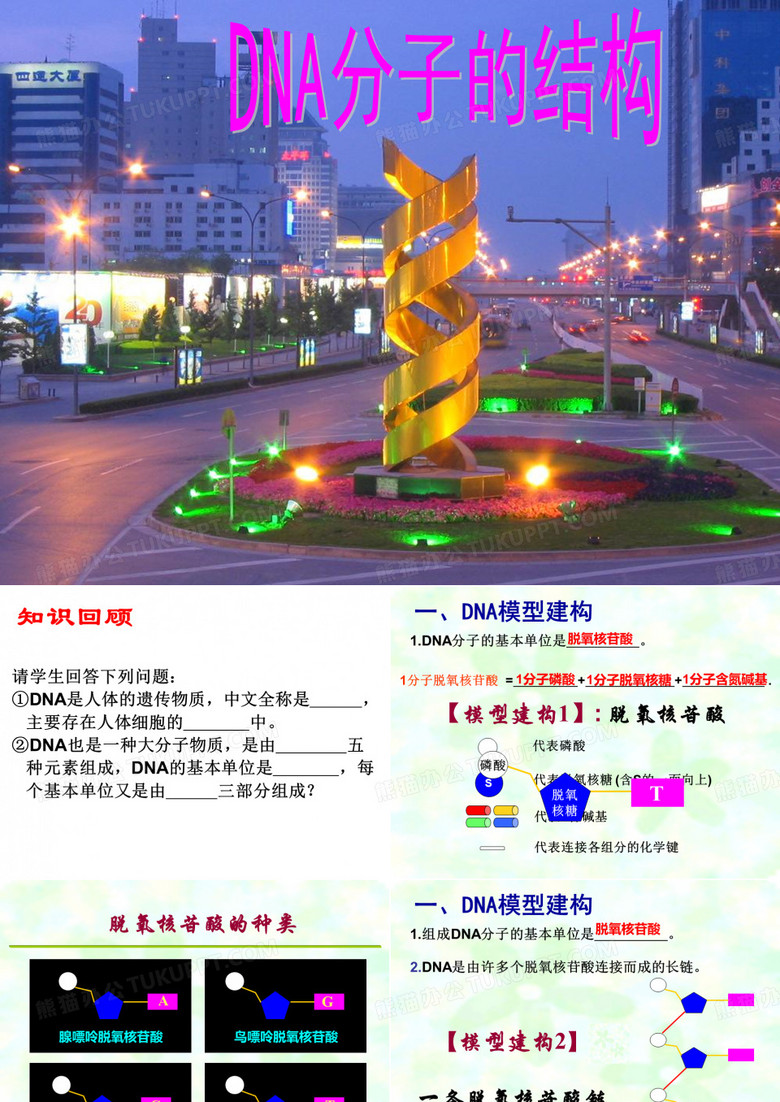 DNA分子的结构