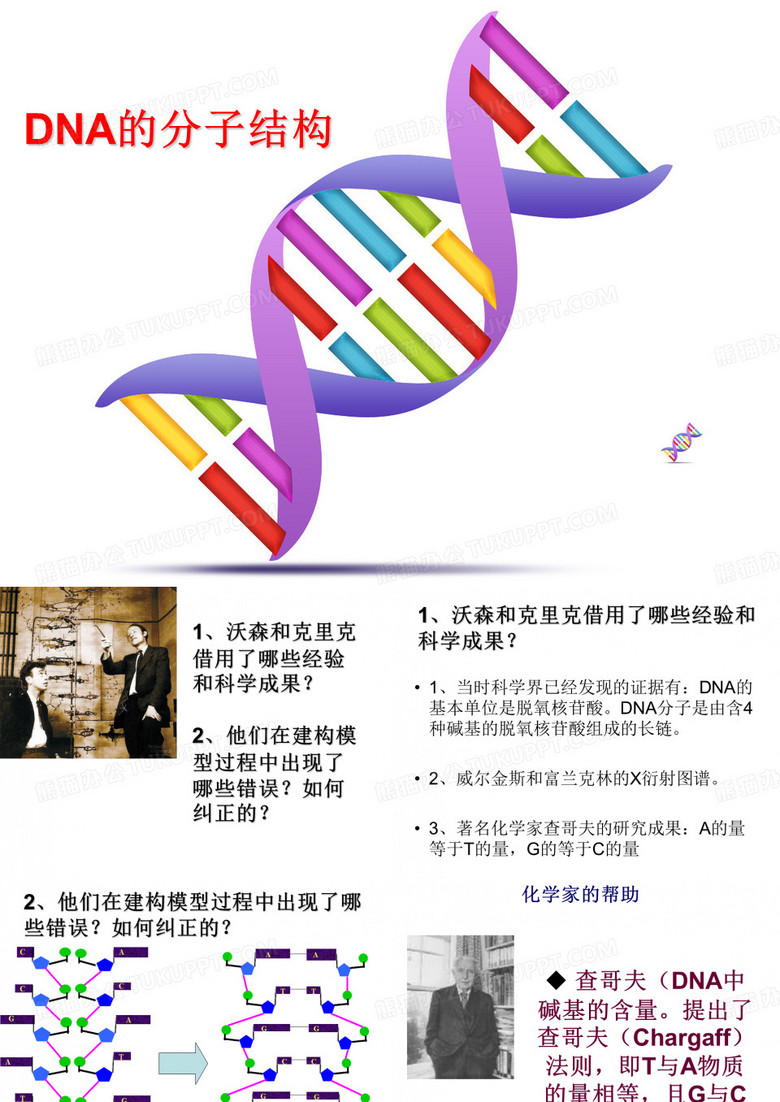 DNA分子的结构