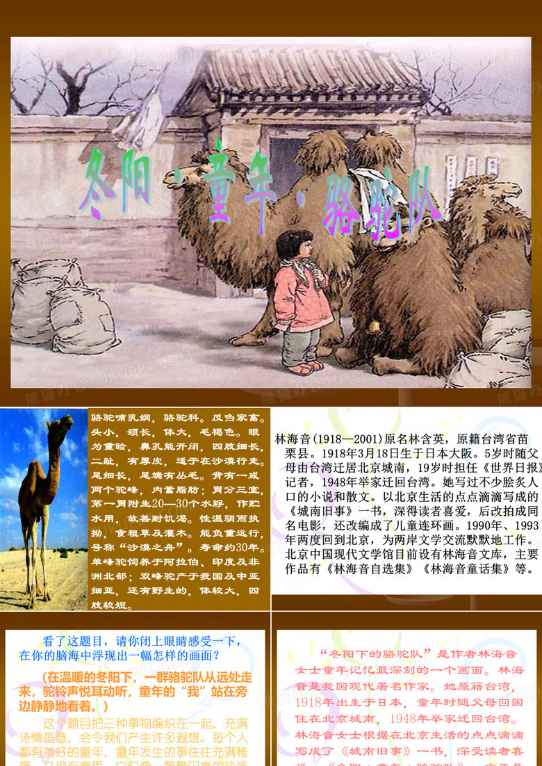 冬阳童年骆驼队