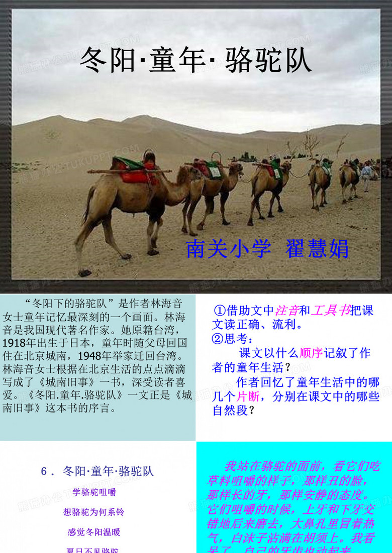冬阳·童年·骆驼队
