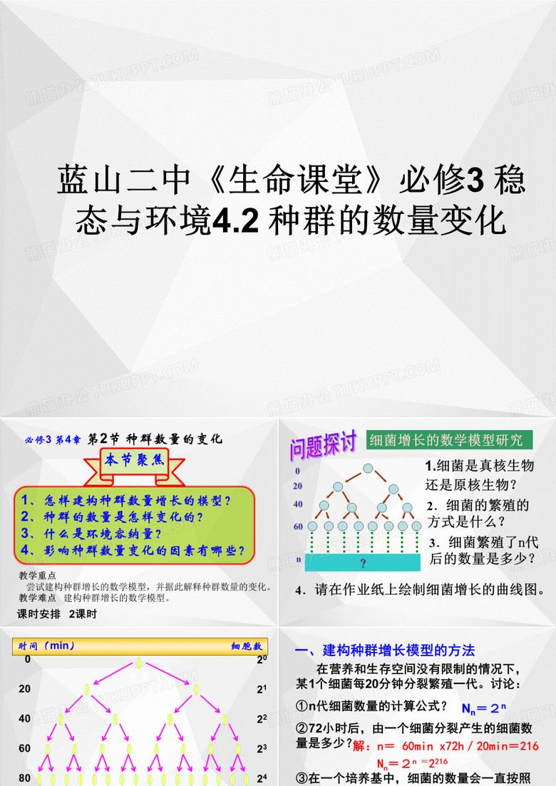 种群的数量变化