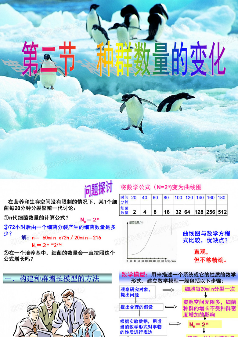 种群的数量变化