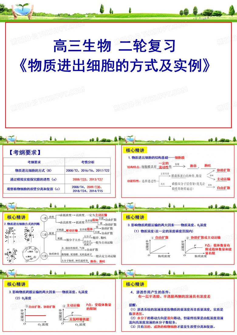 主动运输