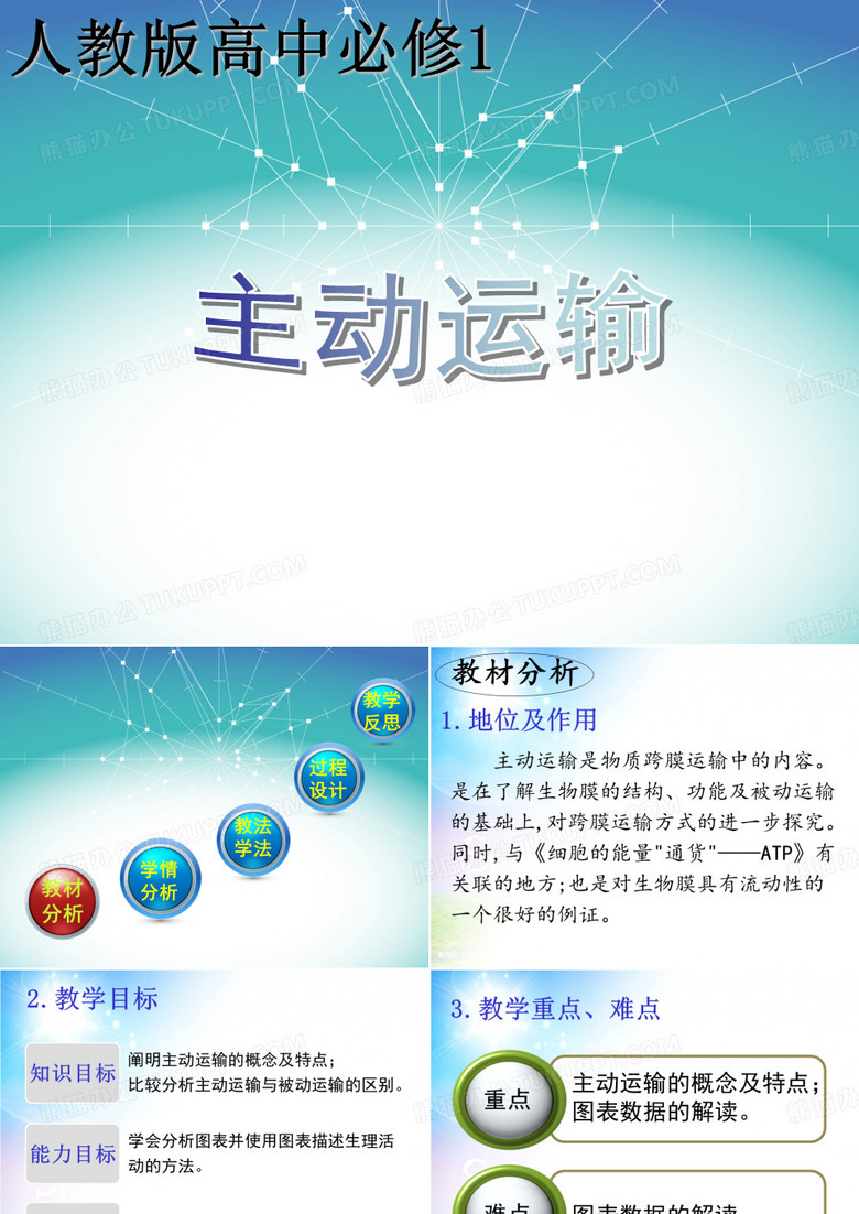 主动运输