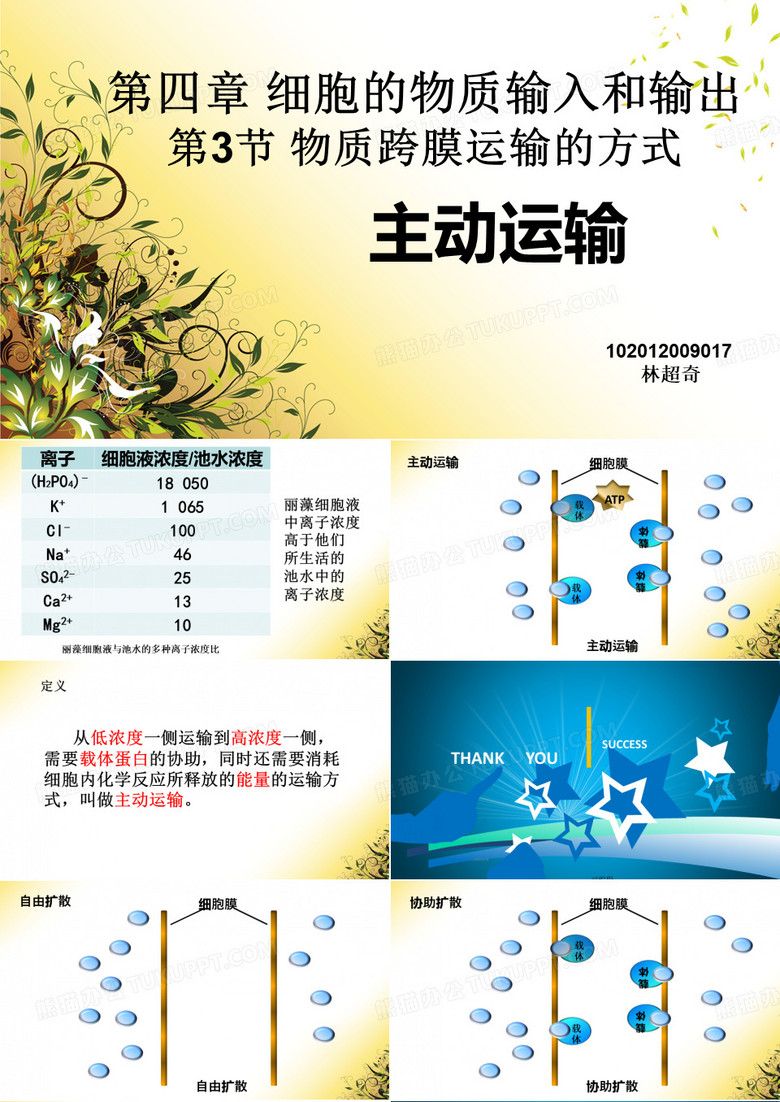 主动运输ppt
