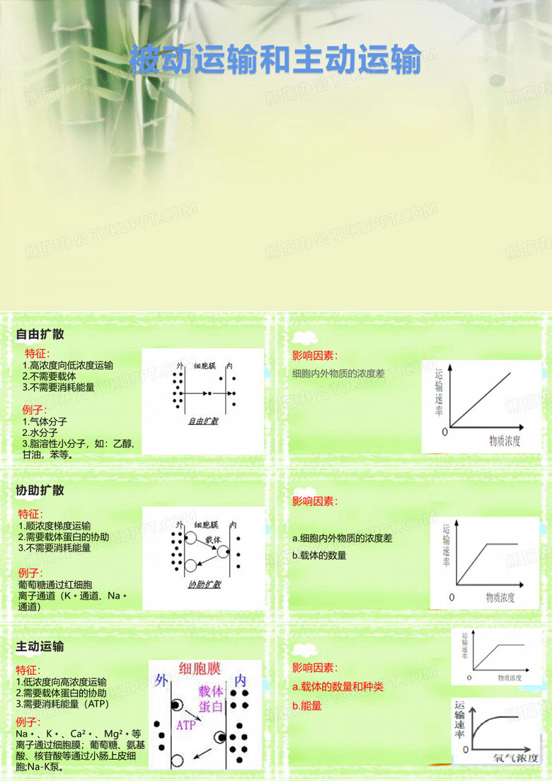 被动运输和主动运输
