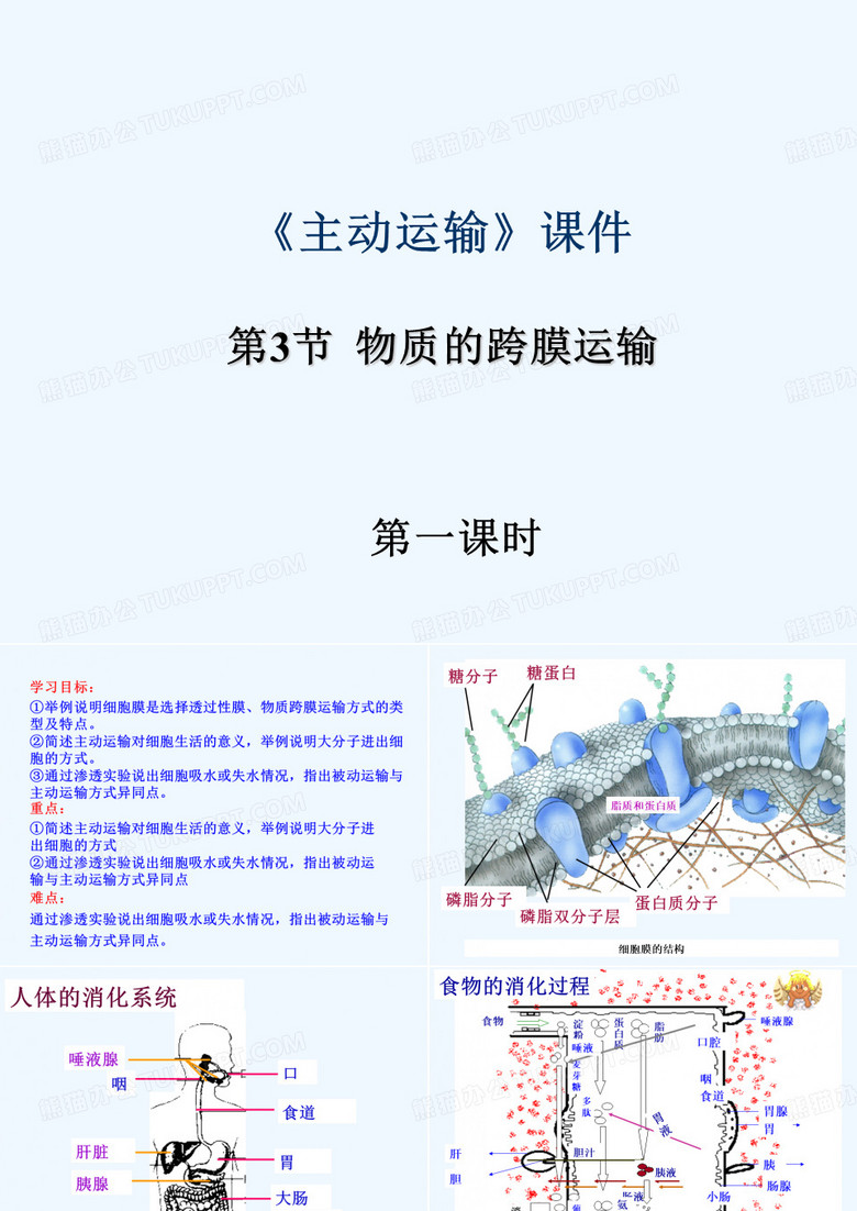 《主动运输》课件2