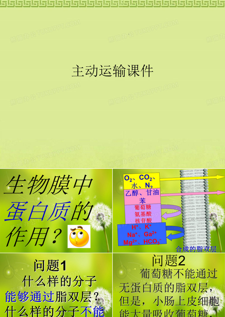 主动运输PPT讲稿