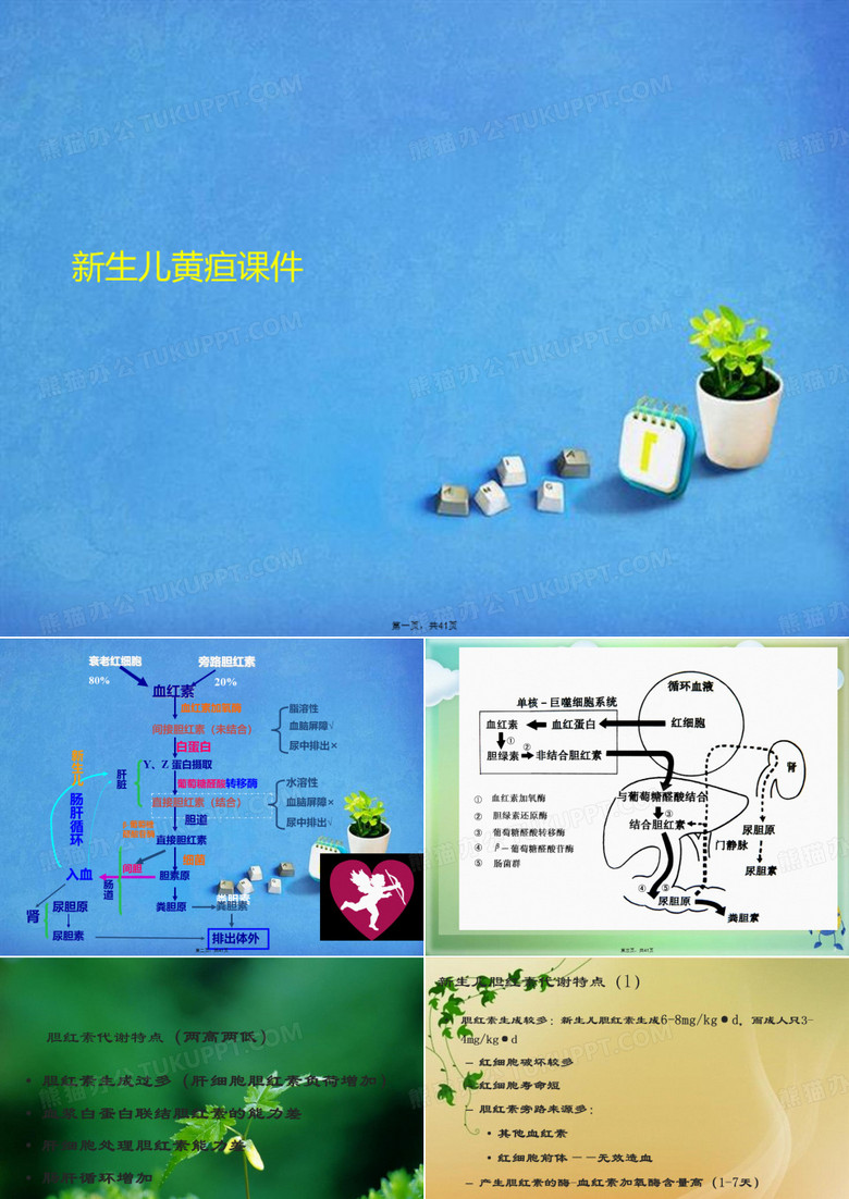 新生儿黄疸课件