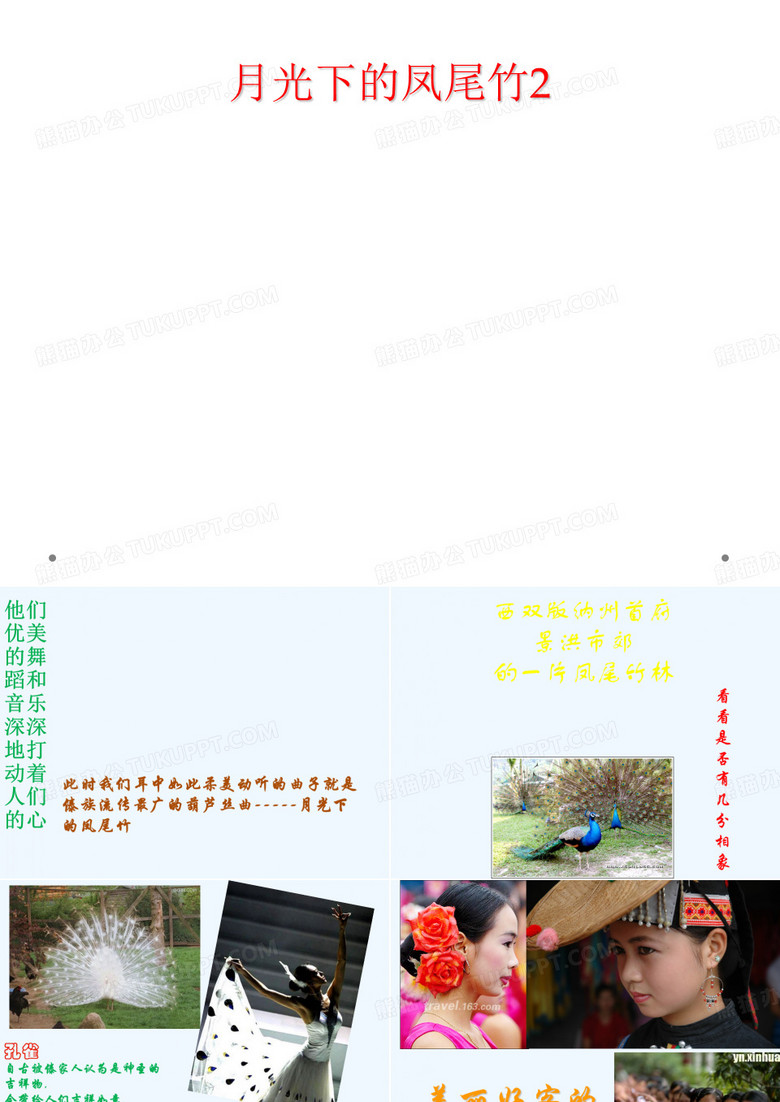 月光下的凤尾竹2