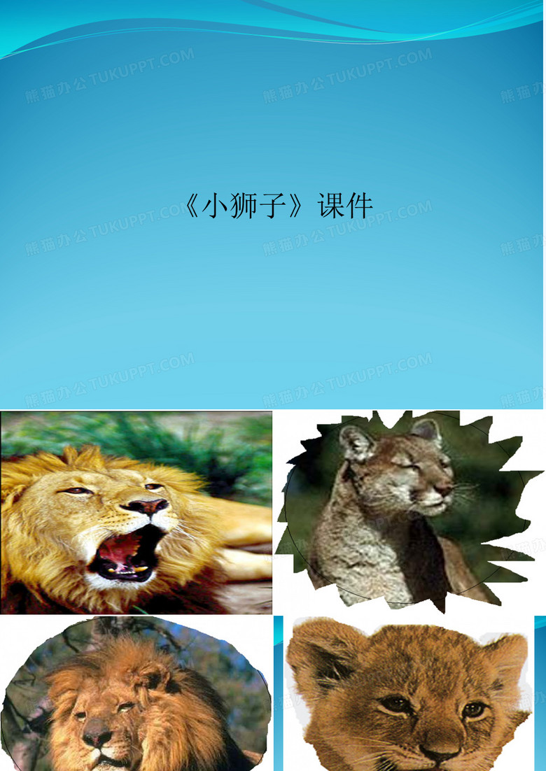 《小狮子》课件