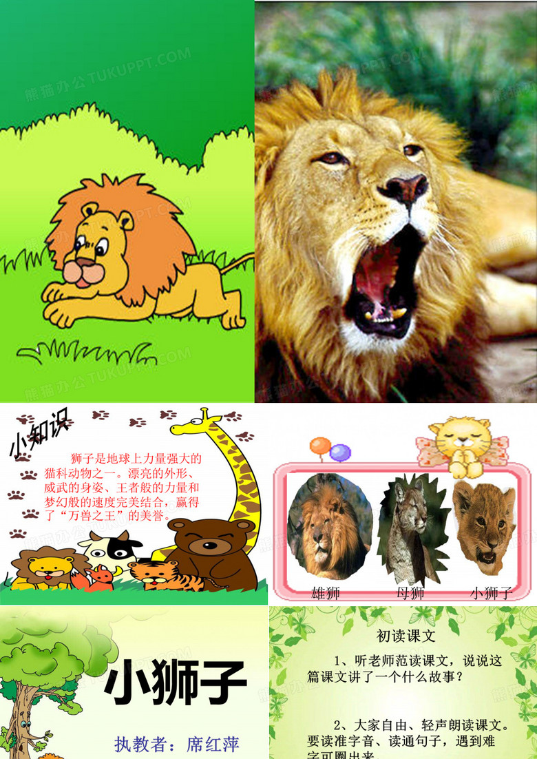 《小狮子》ppt