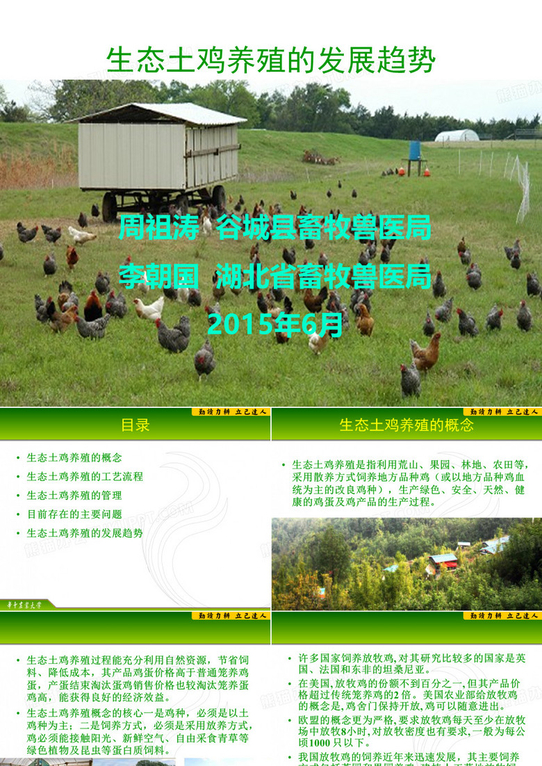 生态土鸡养殖产业
