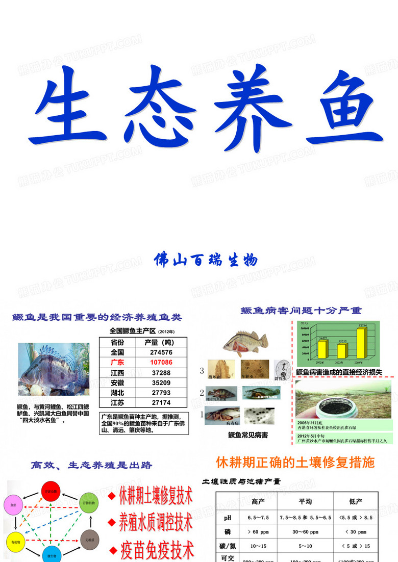 鳜鱼高效生态养殖技术