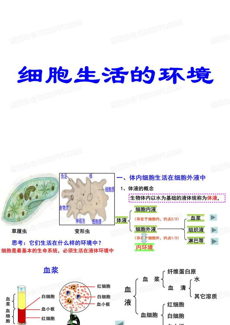 细胞生活的环境