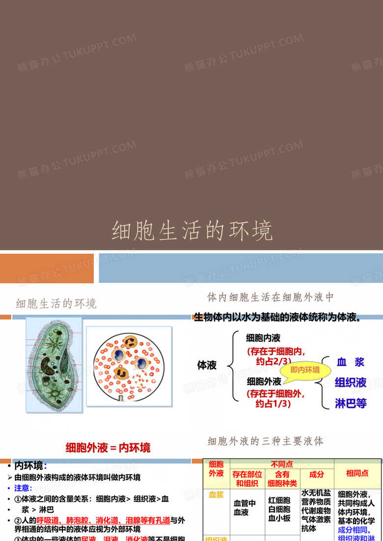 细胞生活的环境