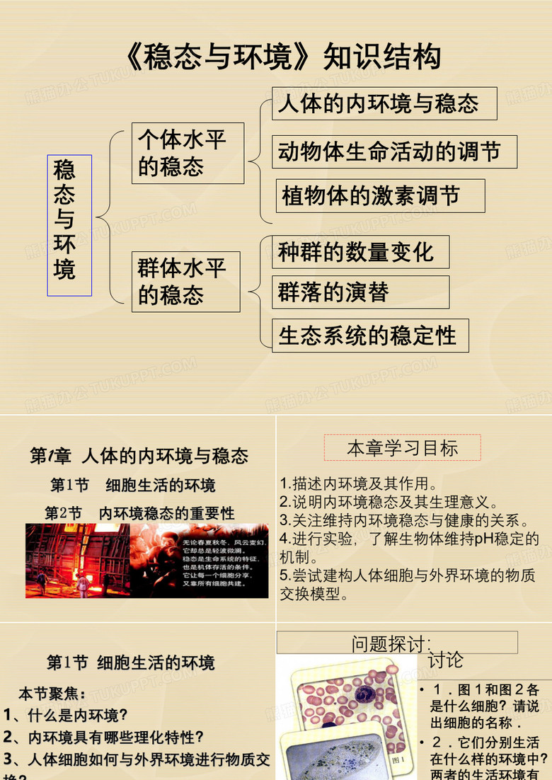 细胞生活的环境