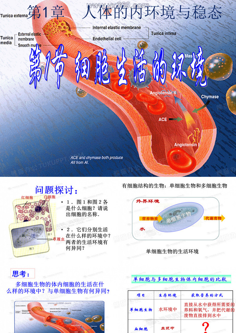 细胞生活的环境
