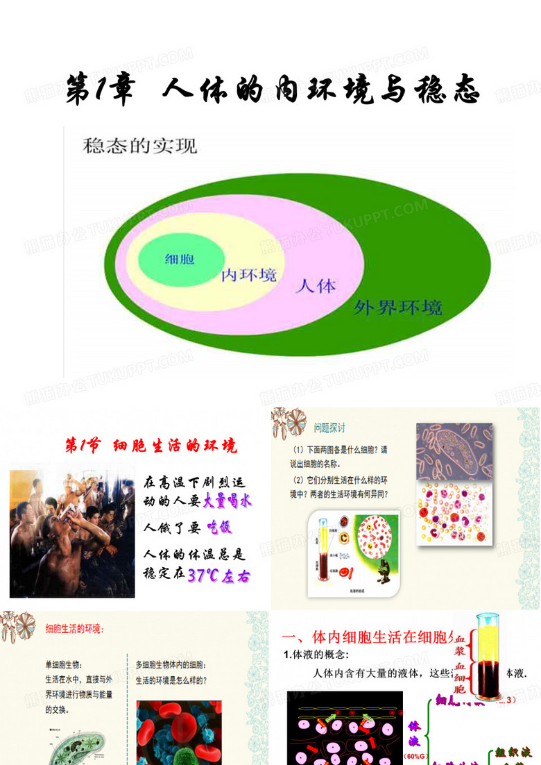 细胞生活的环境