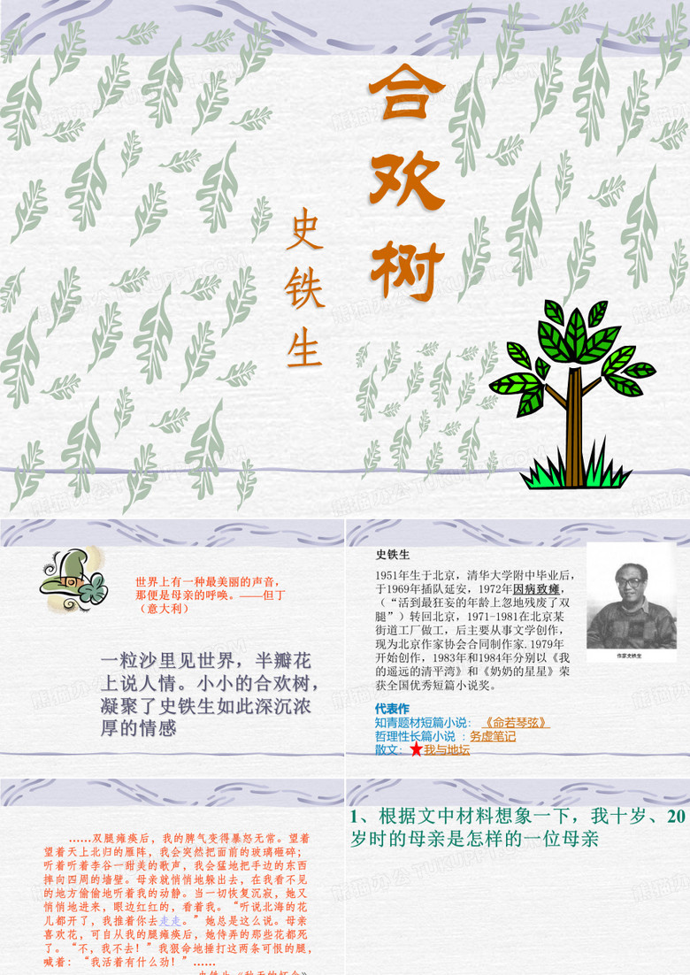 合欢树课件