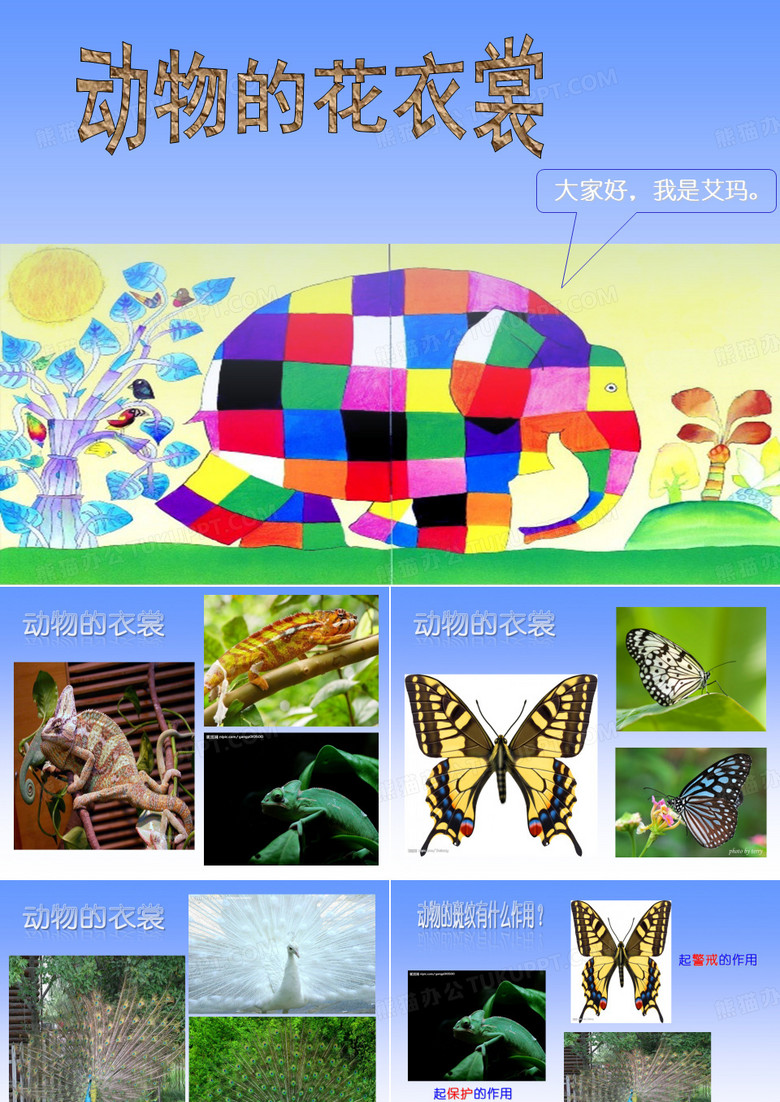 《动物的花衣裳》