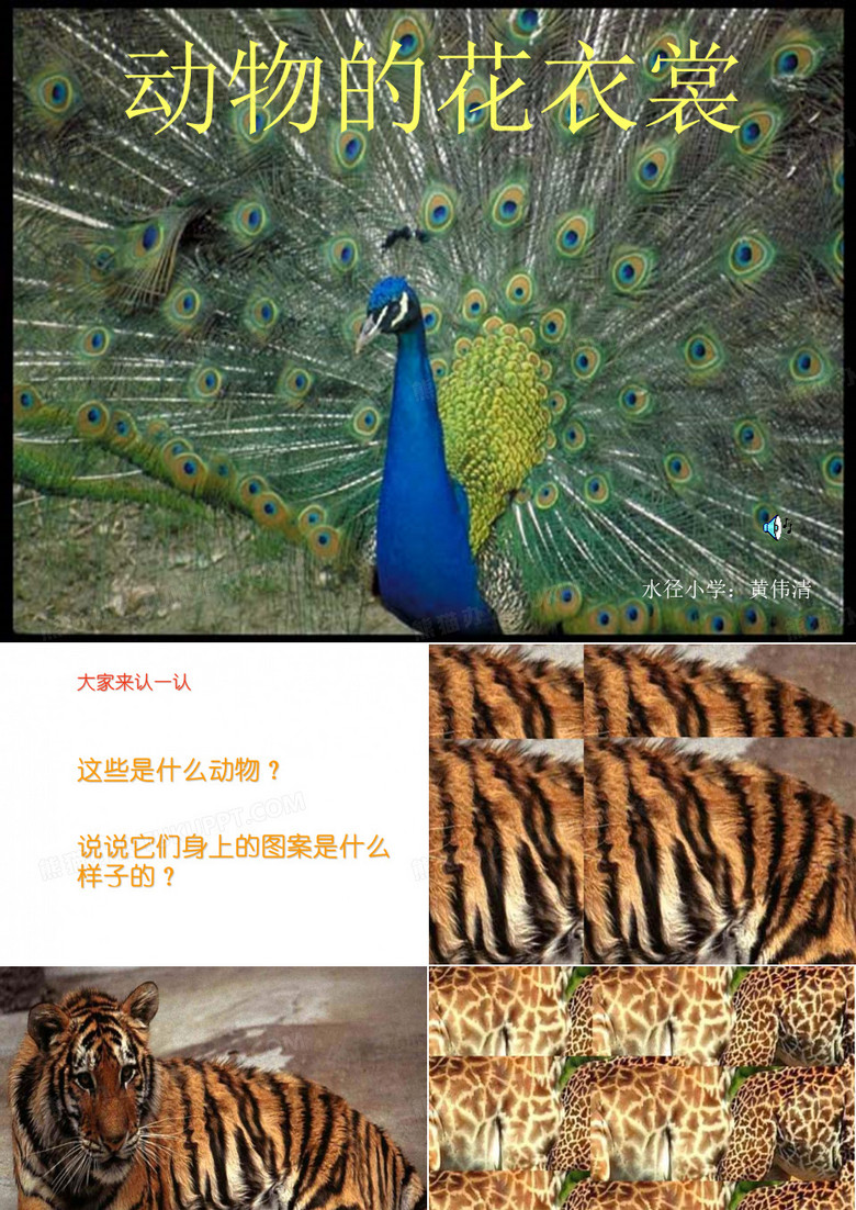 动物花衣裳
