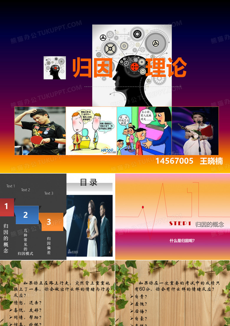 归因理论ppt