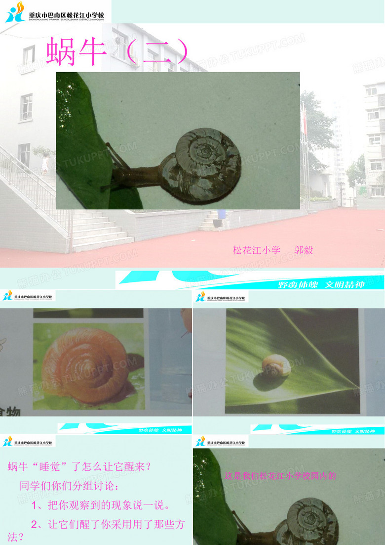 小学三年级科学蜗牛(二)