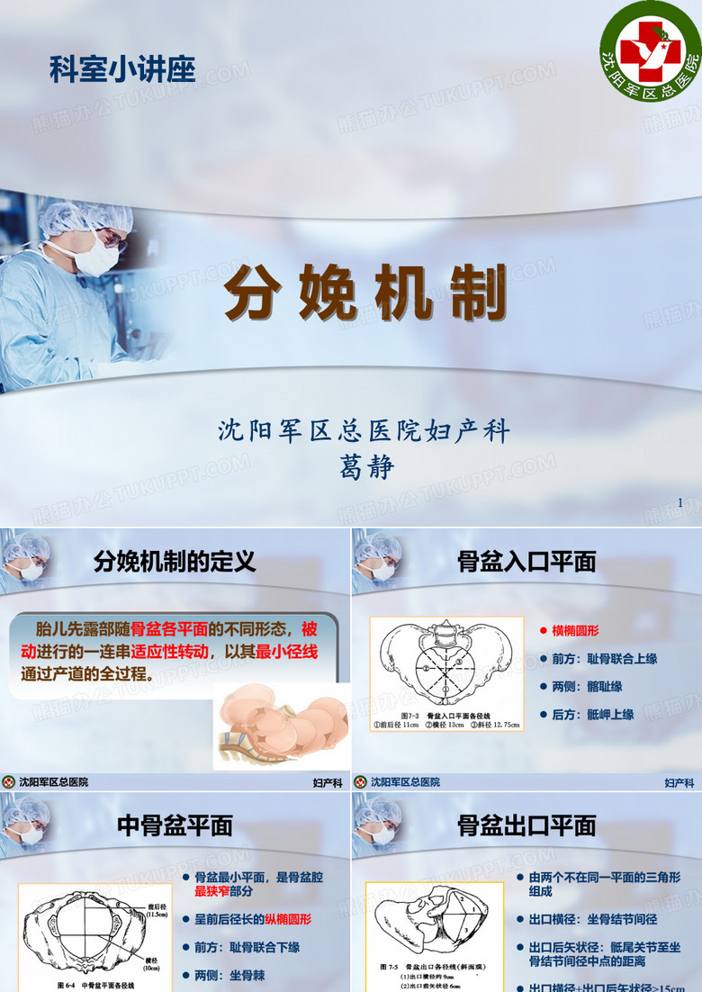 分娩机制