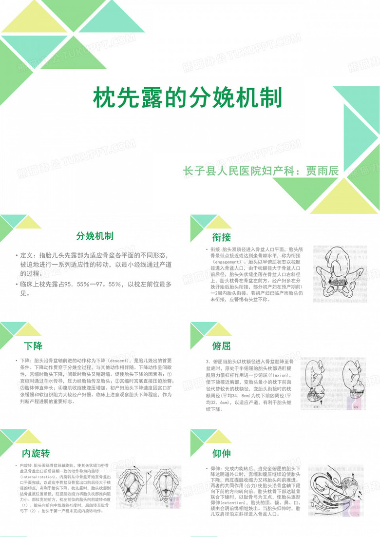 枕先露的分娩机制