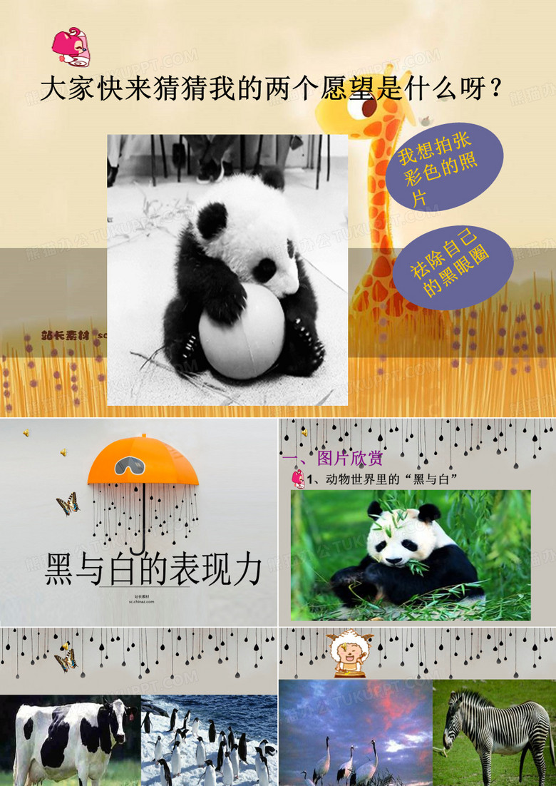 黑与白的表现力