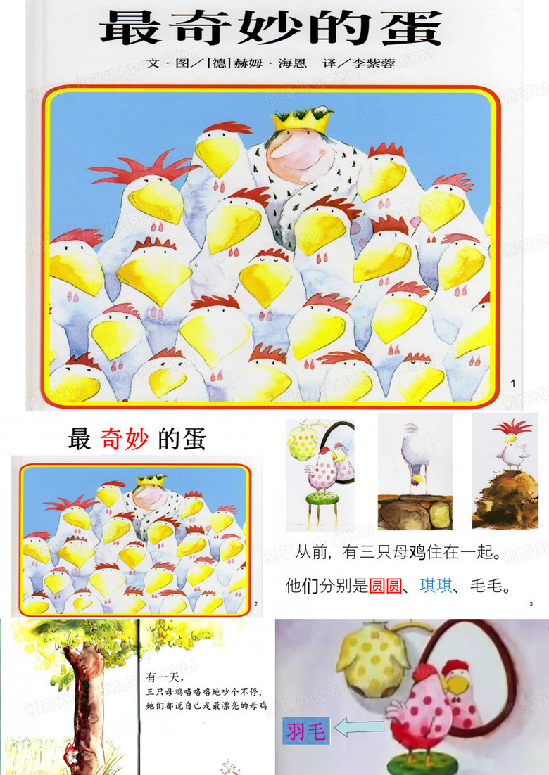 最奇妙的蛋ppt课件