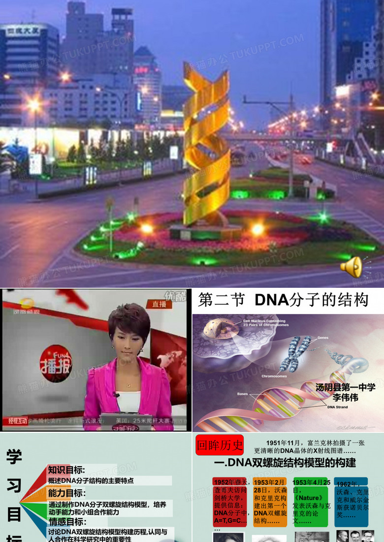 DNA分子结构