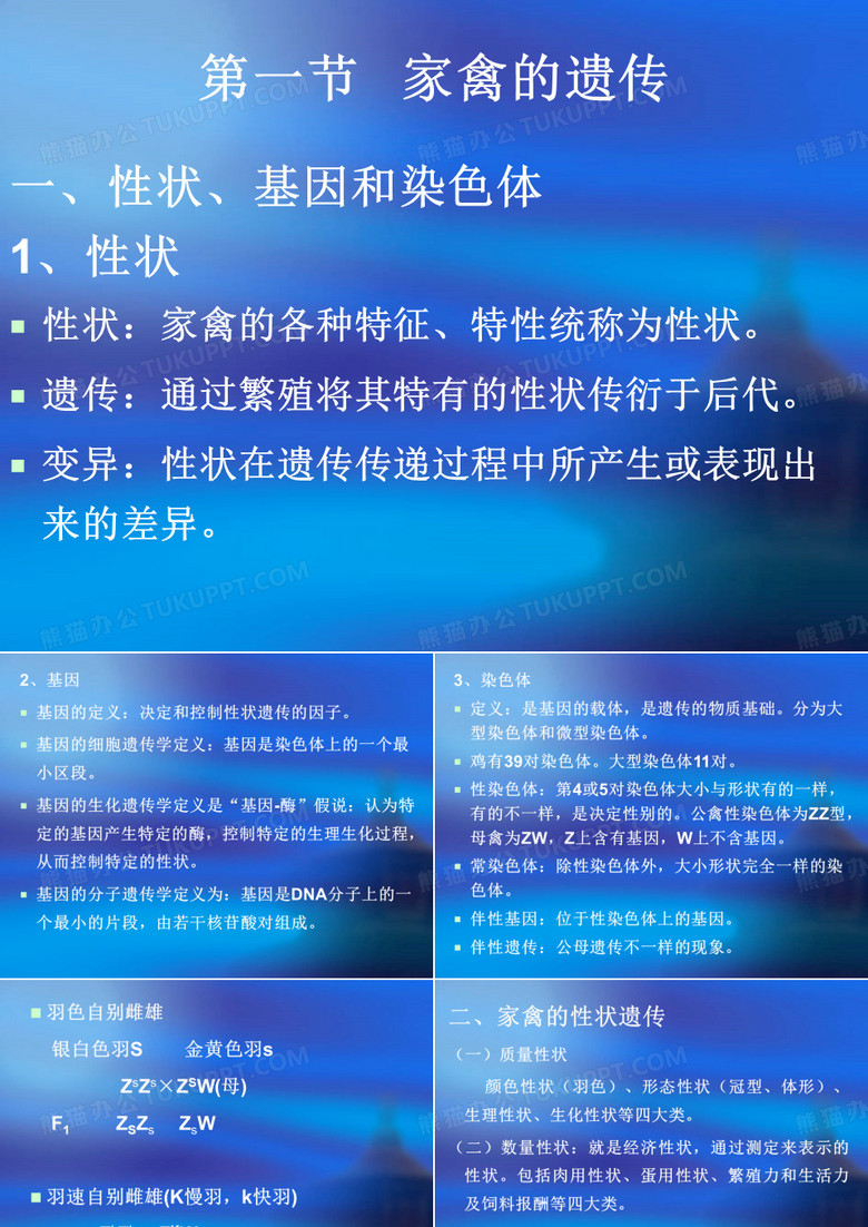 家禽的育种