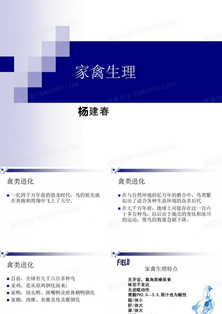 家禽生理学
