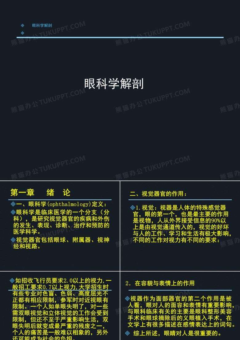 眼科学PPT课件 眼科学总论 眼科学解剖