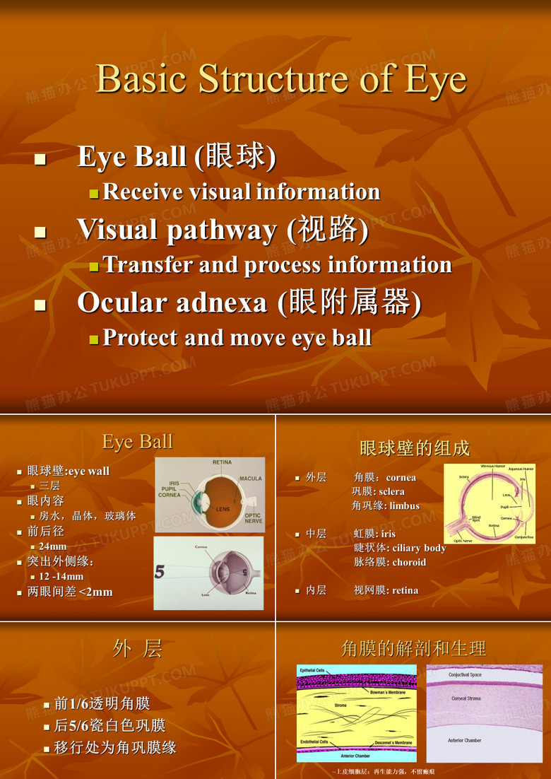 眼科学