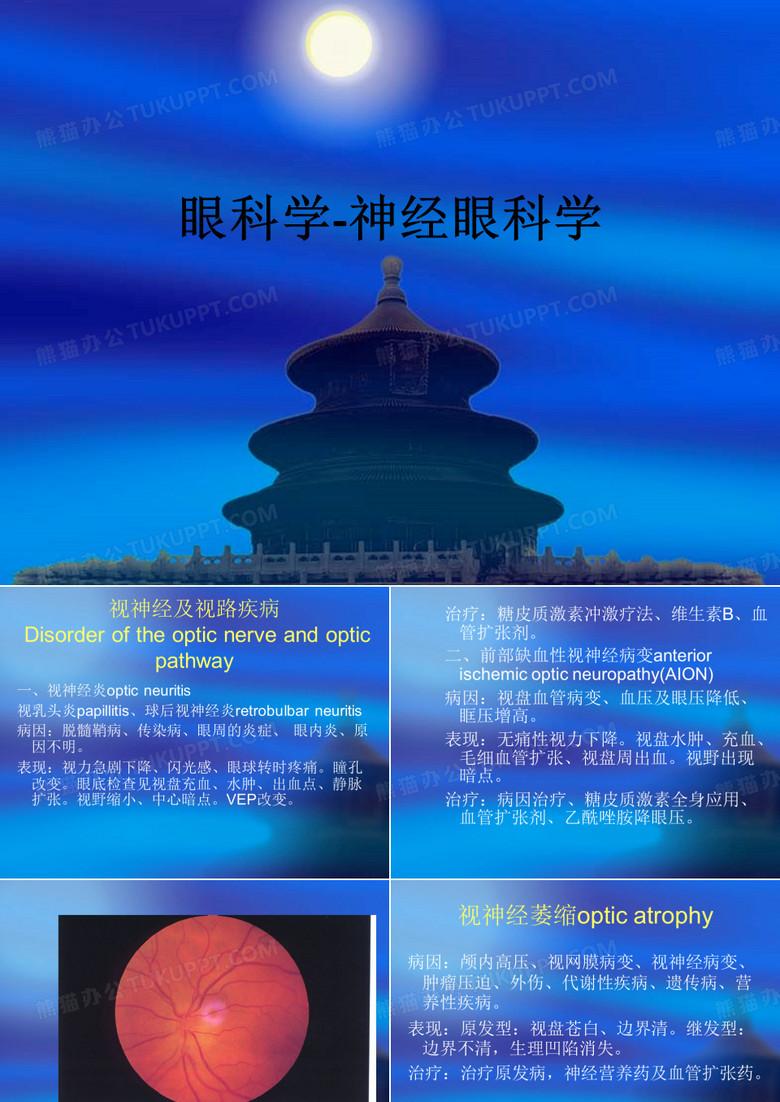 眼科学-神经眼科学ppt课件