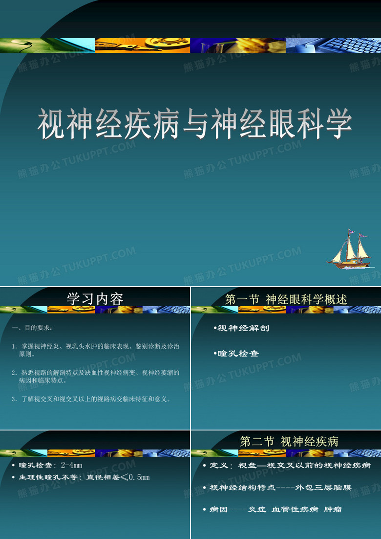 眼科学：视神经疾病与神经眼科学