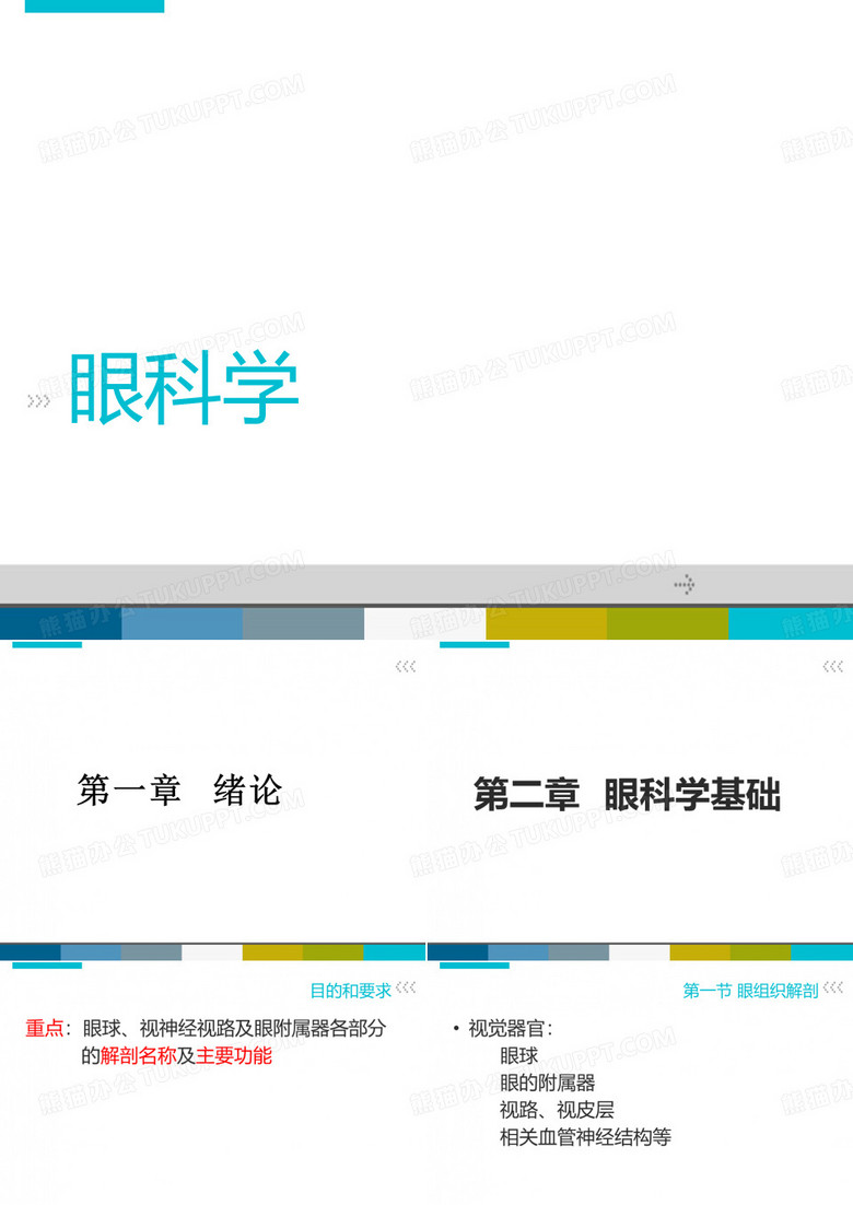 眼科学第一节绪论眼科学基础