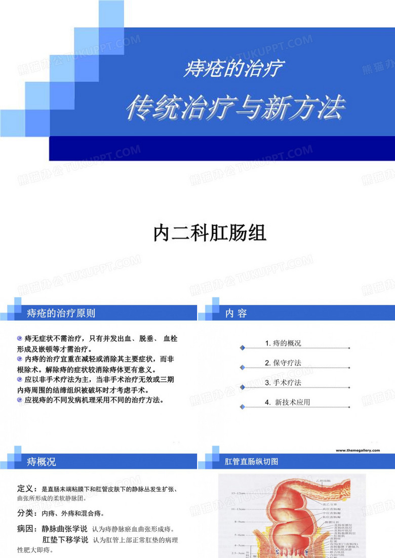 痔疮治疗 PPT课件