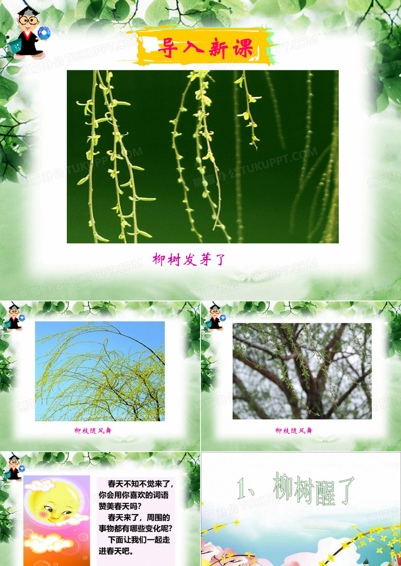 1.柳树醒了