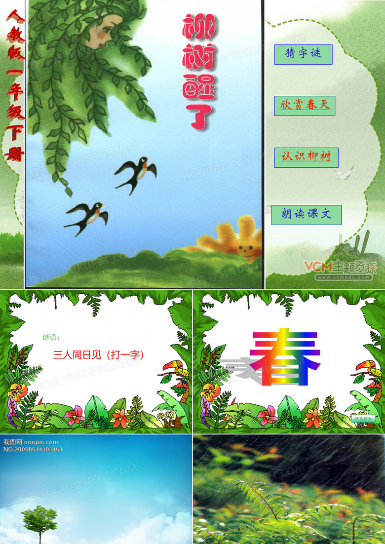1柳树醒了